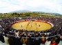Toros plaza de toros de motril-w1289-h1289 Toros plaza de toros de motril-w1289-h1289