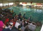 Trofeos2 CADEBA-w1289-h1289
