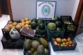 FRUTA Y VERDURA DECOMISADA