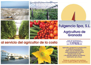 FULGENCIO SPA