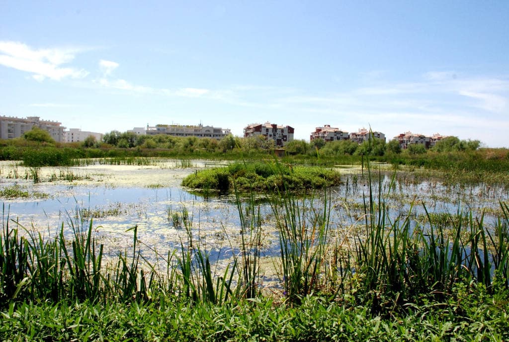 El Ayuntamiento de Motril y la FAMP presentan mañana el proyecto europeo de turismo sostenible Coasting