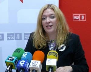 El PSOE insta a Rojas a que deje de quejarse