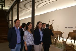 Motril acoge la exposición ’Naturaleza, arte y ciencia: taxidermia para la educación’