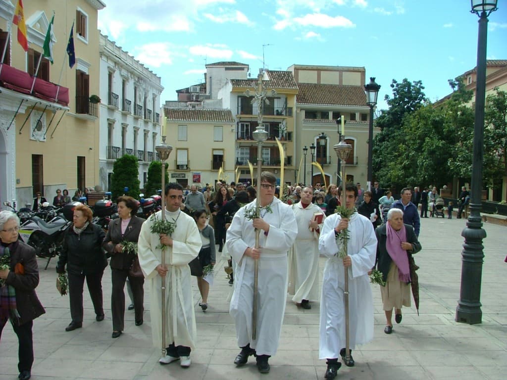 Palmas y Olivos para recibir triunfante a Cristo Rey en la mañana del Domingo de Ramos