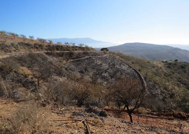 La policía pone a disposición judicial a un individuo por causar un incendio forestal en Turón