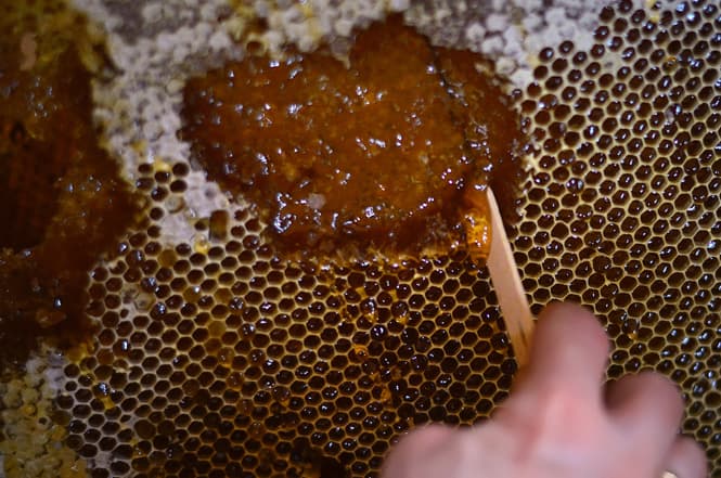 Granada, segunda productora de miel ecológica de Andalucía