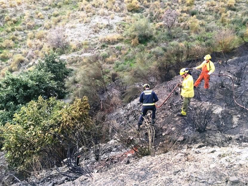 Declarado un nuevo incendio forestal en Molvízar