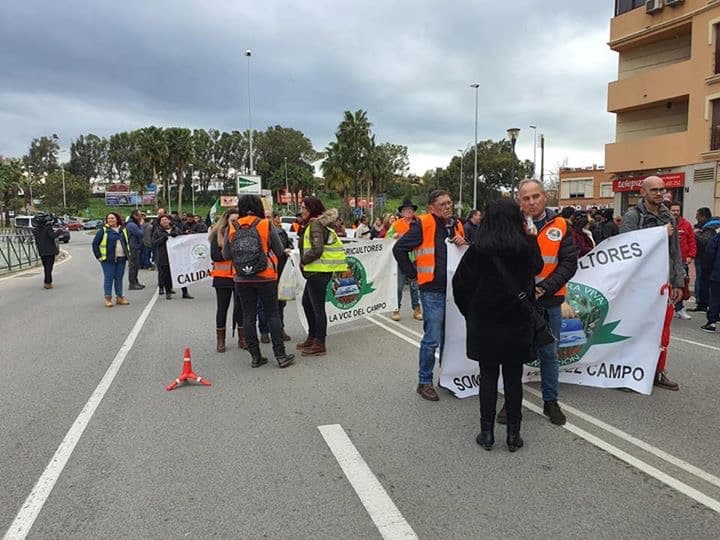 El PSOE de Carchuna y Calahonda acude a las movilizaciones de Algeciras para apoyar a los agricultores del Llano, Motril y de la Comarca que han denunciado la crisis que vive el sector