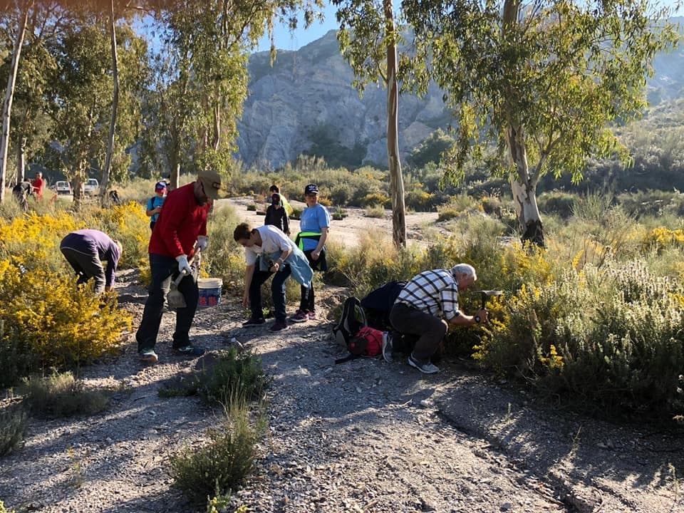 Órgiva celebra una jornada de reforestación con la plantación de más de medio millar de árboles