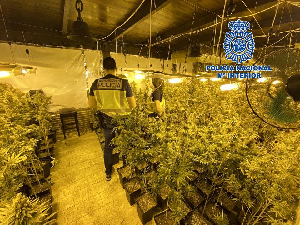 Desmantelado un centro de producción de marihuana en Salobreña y detenido un varón