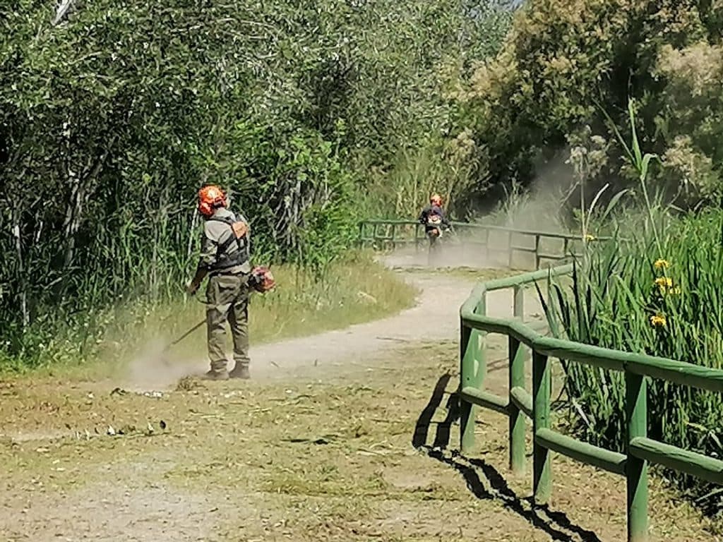 La reserva natural Charca de Suárez en Motril abre de nuevo sus puertas   a los vecinos y visitantes este viernes