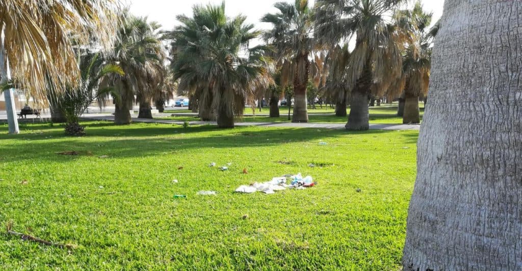Los socialistas denuncian la «falta de limpieza» en la ciudad