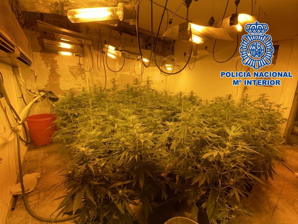 Detienen en Motril a dos varones como responsables de la gestión de un punto de cultivo y elaboración de cannabis
