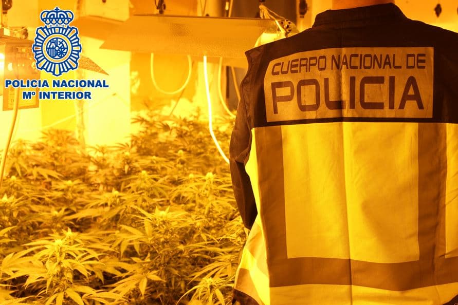 La Policía Nacional realizó en junio 14 operaciones en Granada y Motril que se saldaron con 16 detenciones, incautando más de 2.400 plantas de marihuana