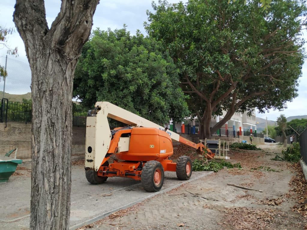Parques y Jardines realiza una poda integral en el anejo de Lobres
