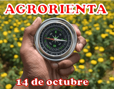 El IES La Zafra presenta el webinar ‘Orientados a la Producción Ecológica’