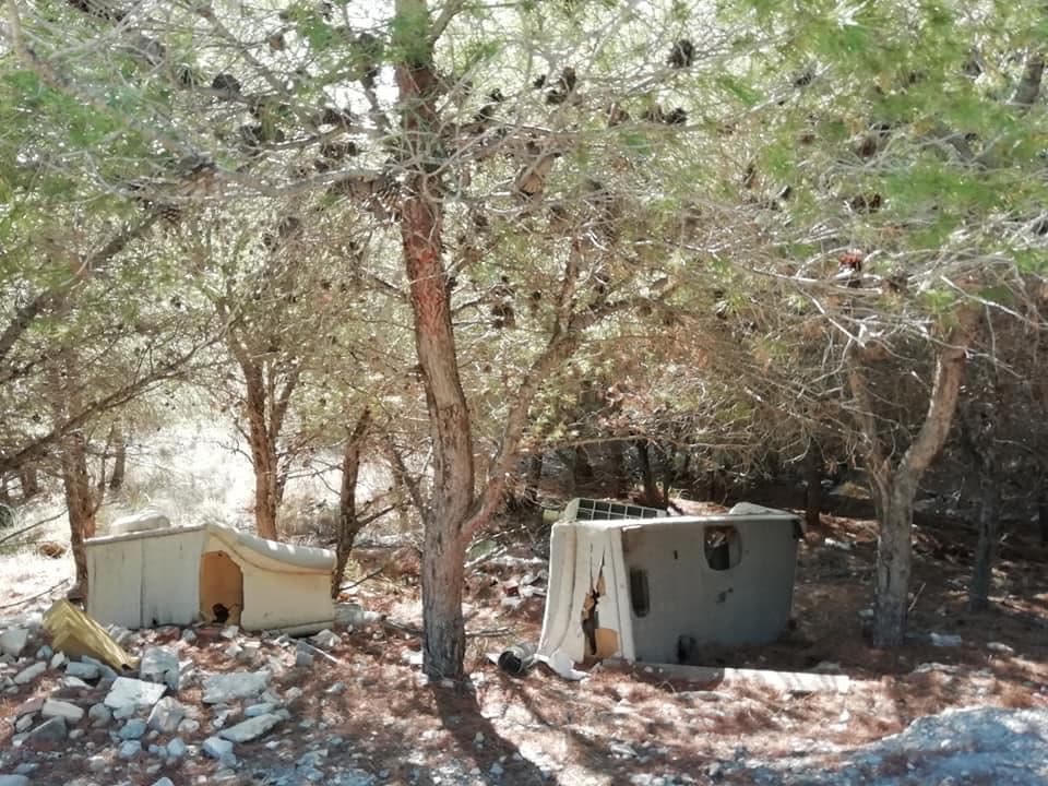 El Grupo Municipal del PSOE pedirá Pleno la limpieza del paraje natural del Cerro del Toro y la Bullarenga