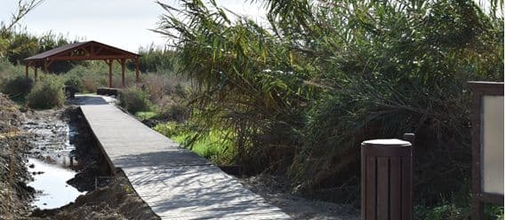 Finaliza la ejecución de los 4 proyectos de la convocatoria 2018 del Fondo Europeo Marítimo Pesquero (FEMP)