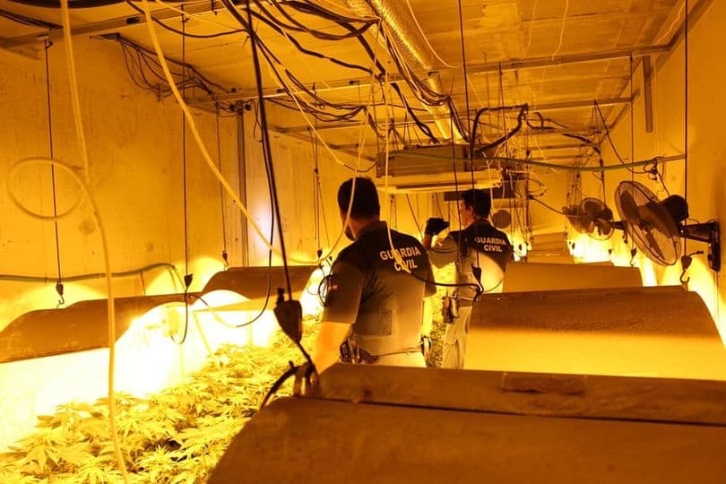 Golpe al tráfico de marihuana en Órgiva