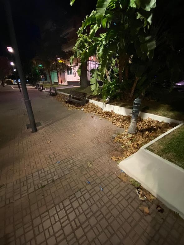 El PSOE traslada las quejas ciudadanas por falta de limpieza y seguridad en la Huerta de la Condesa y la pista de skate del Parque de los Pueblos de América