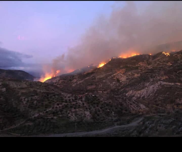 El incendio de Almegíjar ha afectado a 600 hectáreas de terreno forestal y agrícola