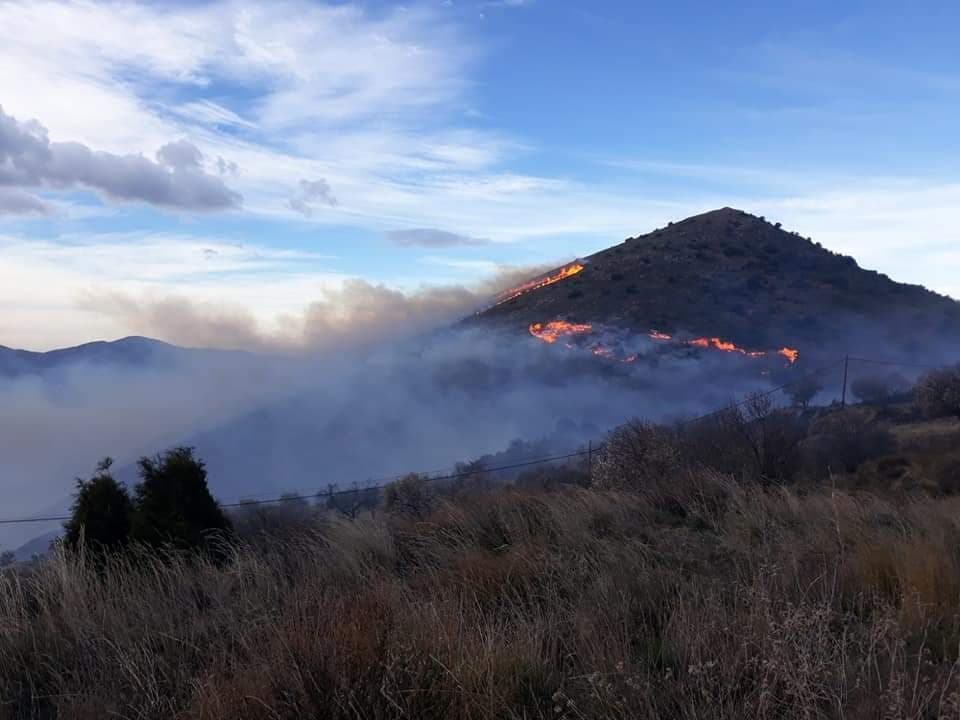 La Junta activa el nivel 1 del Plan de Emergencias por incendios forestales en Granada por un fuego declarado en Juviles