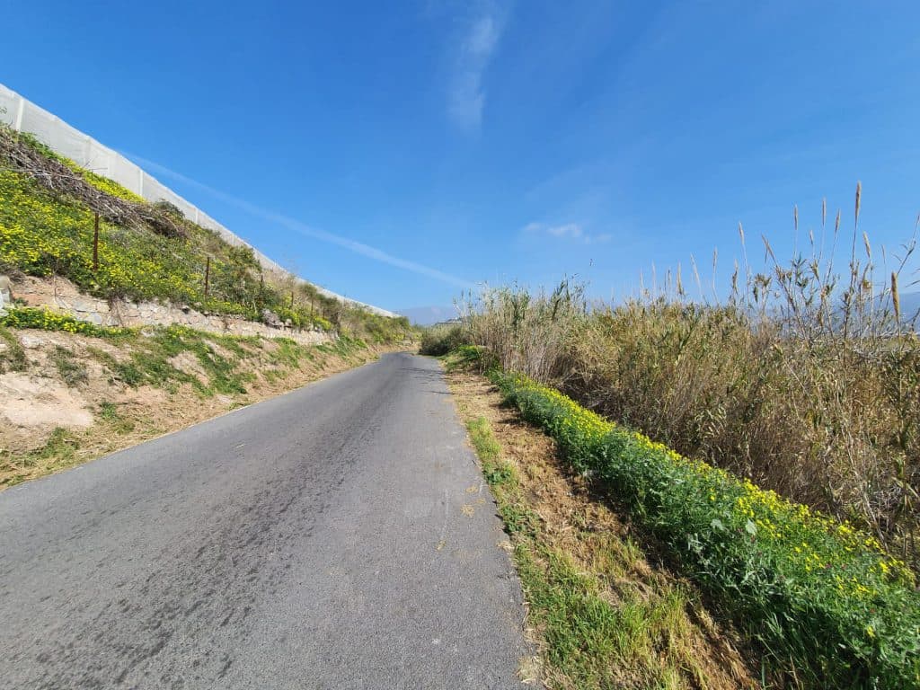 La limpieza municipal del Camino Galindo pone a punto una vía de especial tránsito agrícola