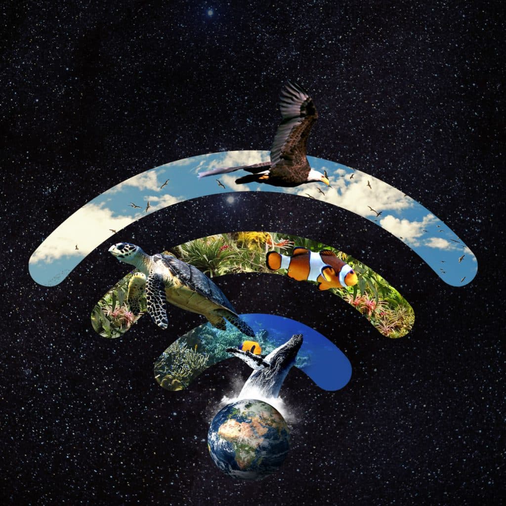Salobreña se suma una vez más a “La Hora del Planeta”