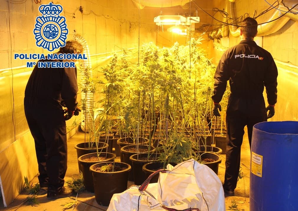 La Policía Nacional ha realizado en noviembre 16 operaciones antidroga en Granada y Motril, que se han saldado con 26 detenciones