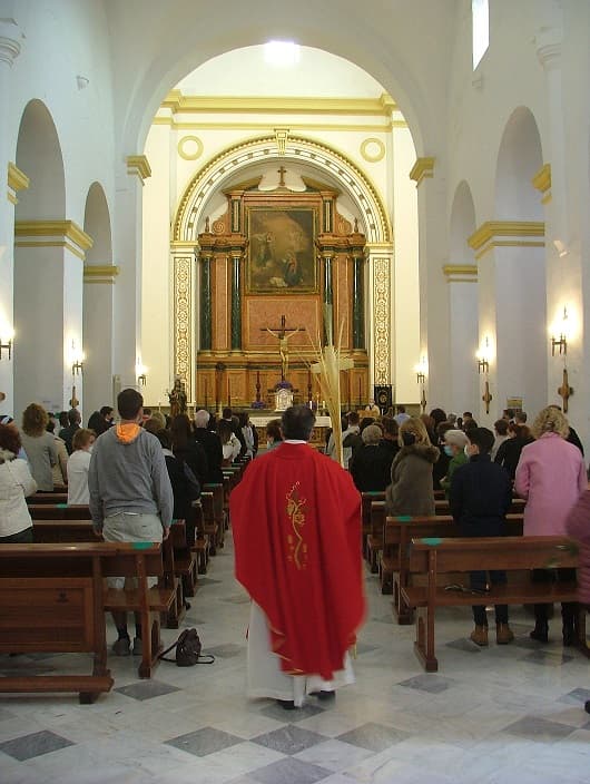 SOLEMNE BENDICION DE PALMAS EN LAS PARROQUIAS DE MOTRIL