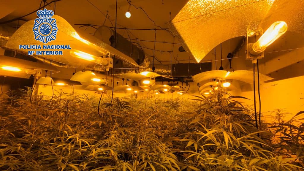 Desmantelan en Motril un punto de distribución de estupefacientes y tres inmuebles con plantaciones de marihuana