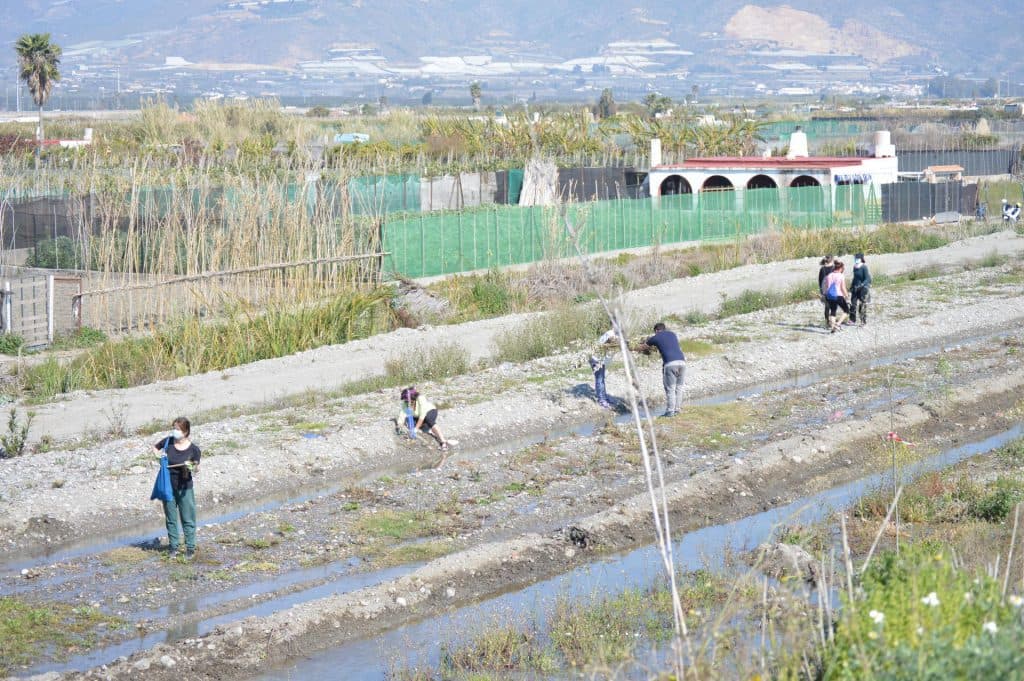 Los voluntarios ambientales de Salobreña comienzan a dibujar la senda fluvial junto al Guadalfeo