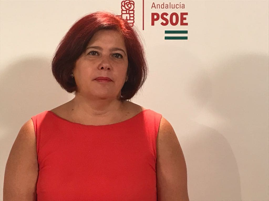 Elvira Ramón valora el esfuerzo del Gobierno de España para garantizar la llegada de vacunas