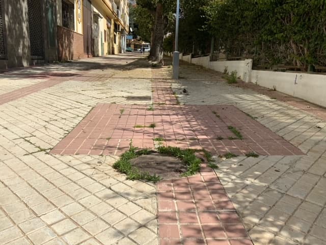 El PSOE llama la atención sobre la acumulación de hierbas y hojas en la calle Acequia Chica, junto al colegio Virgen de la Cabeza