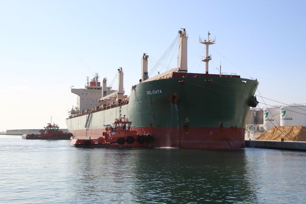 El Puerto de Motril recibe buques cada vez de mayor tonelaje lo que se traduce en una disminución de los costes logísticos para las empresas