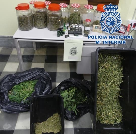 Detenido un varón como presunto autor de una tentativa de homicidio tras disparar con una escopeta a un conocido suyo encontrando además una plantación de marihuana en el subsuelo de su domicilio