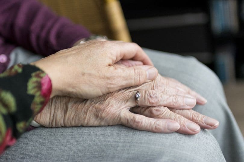CCOO denuncia que la provincia de Granada lidera las listas de espera de la resolución por grado de dependencia en Andalucía