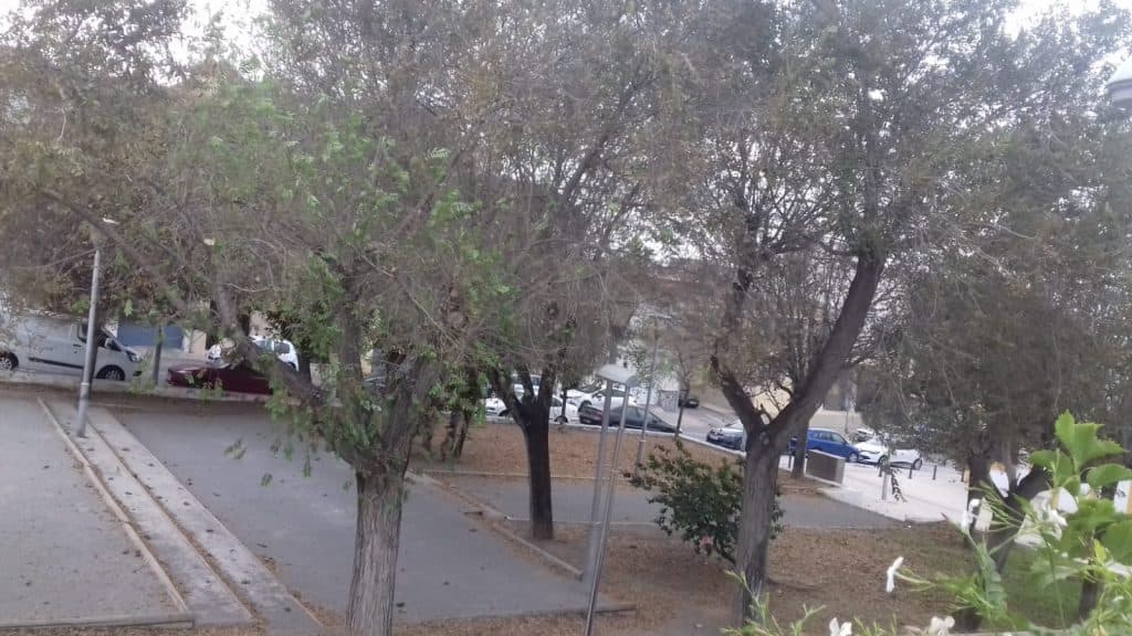 El PSOE recoge las quejas de los vecinos de la calle Antillas por las plagas que atacan a la vegetación del parque