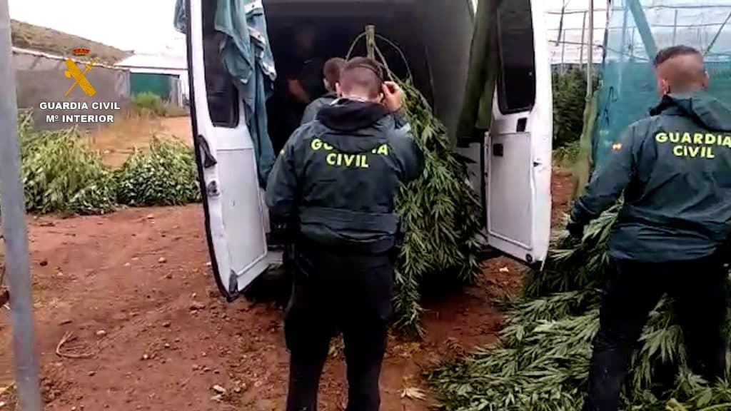 Agentes de la Guardia Civil desarticulan seis centros de producción de marihuana e incautan 1.356 plantas