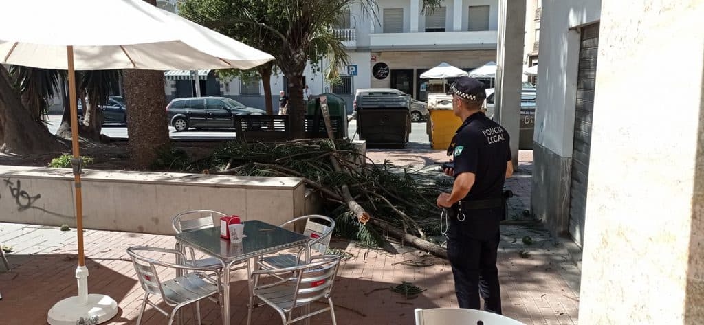 Caída de ramas de grandes dimensiones en la calle Cuevas de Motril