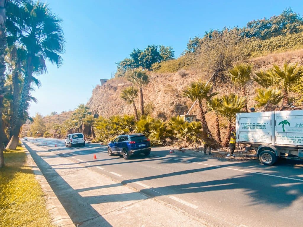 Avanzan con rapidez los trabajos de limpieza y desbroce de los márgenes de la Ronda de Poniente