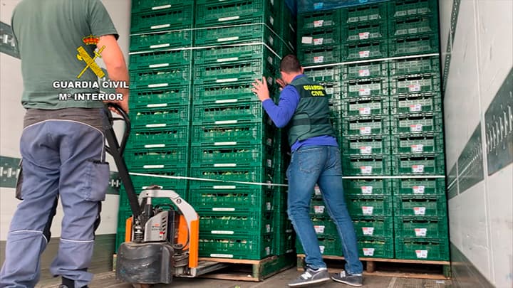 11 detenidos por transportar en camiones droga oculta entre toneladas de coliflores