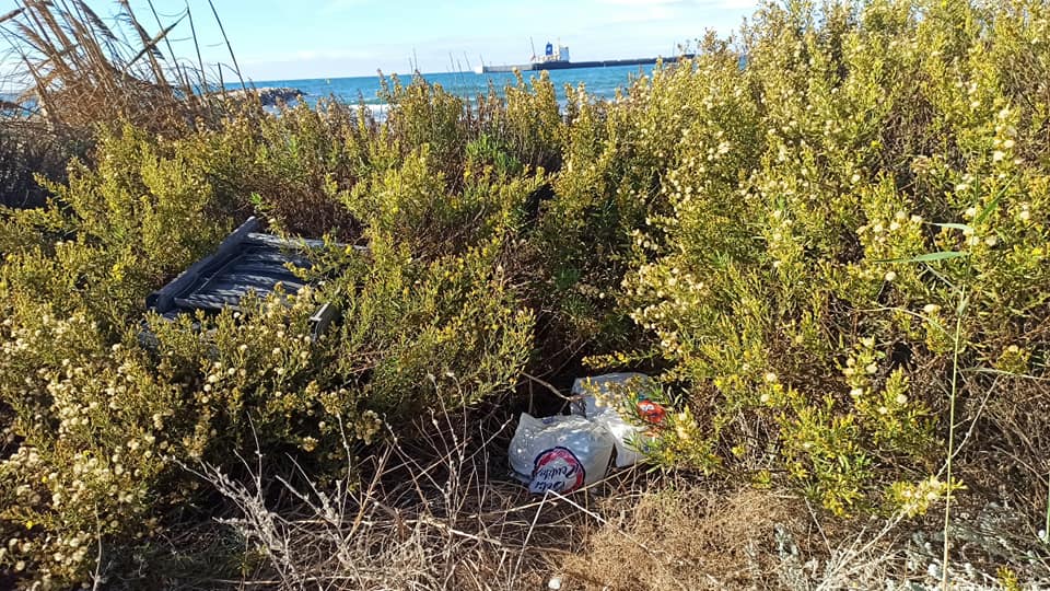 El PSOE pide la limpieza de la Playa de las Azucenas y su entorno