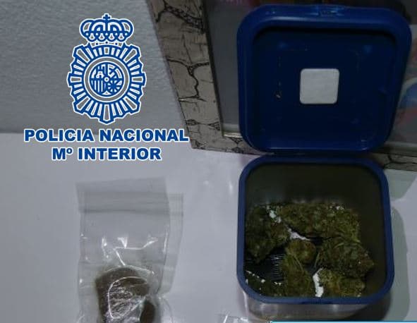 La Policía Nacional interviene cerca de 4.000 plantas de marihuana en un operativo desplegado en Granada