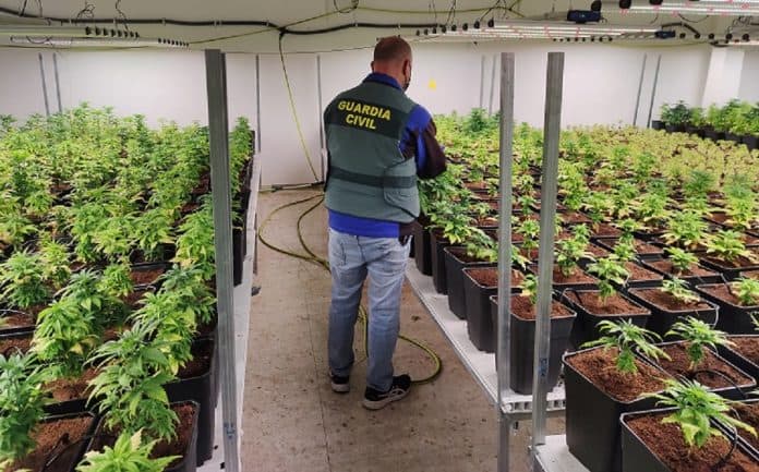 La Guardia Civil descubre siete centros de producción de marihuana en Órgiva, Alfacar, Santa Fe, Cúllar Vega, Íllora y Pinos Puente en los que se incauta de 1.762 plantas de cannabis sativa