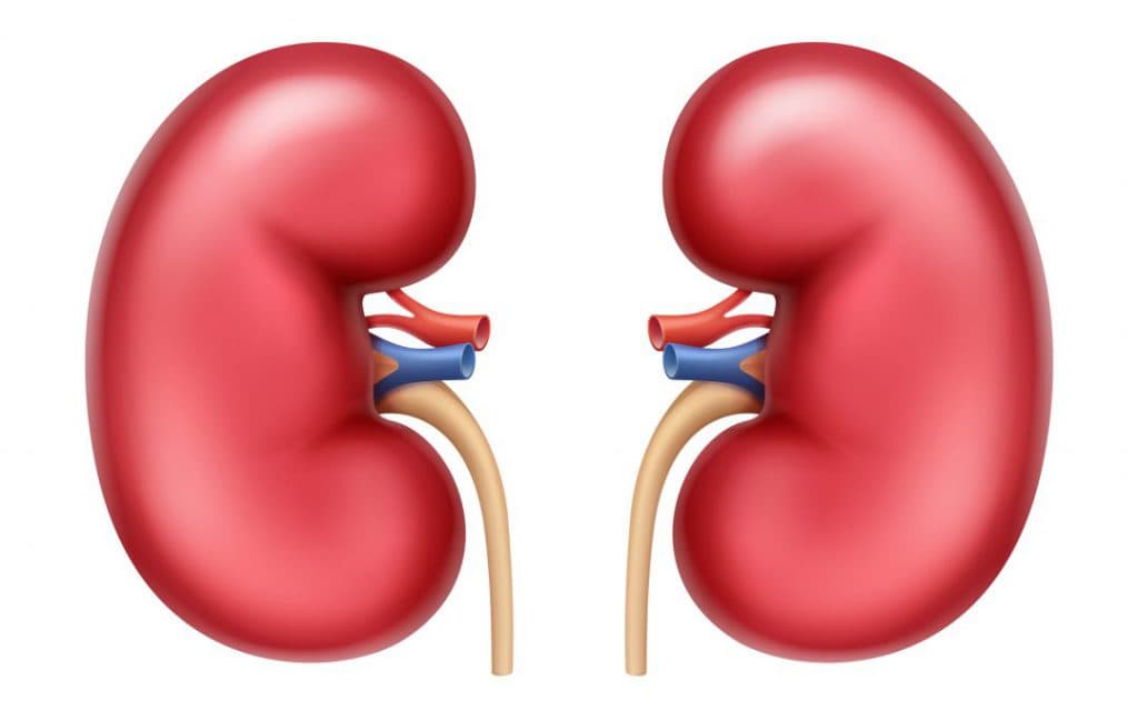 El manejo de las emociones en la enfermedad renal crónica