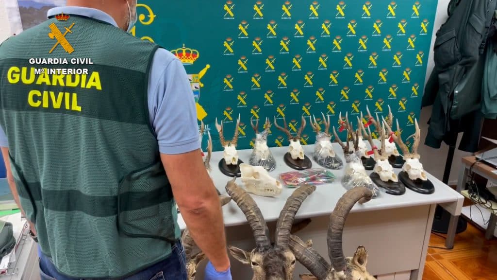 La Guardia Civil desarticula a una trama de cazadores furtivos que manipulaba precintos de caza para reutilizarlos
