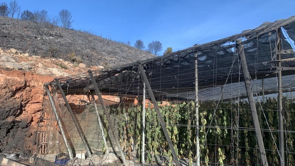 Caja Rural aprueba una línea especial de financiación para los afectados por el incendio de Gualchos