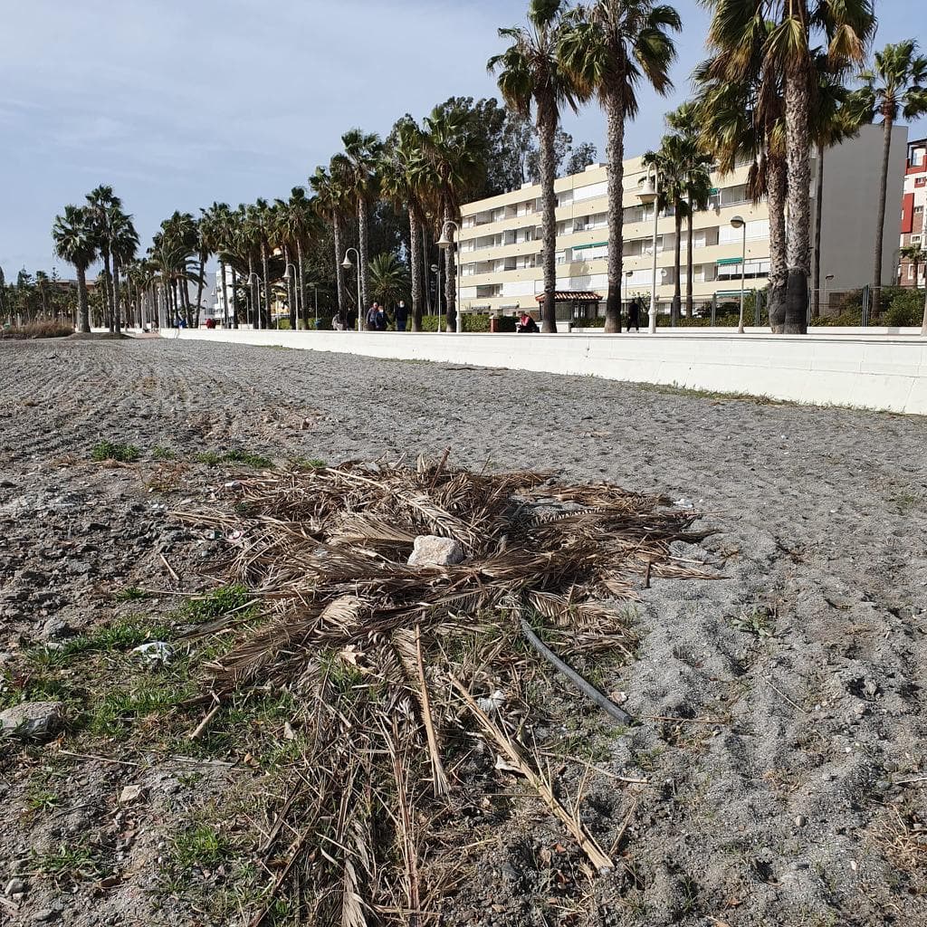El PSOE alerta del «mal estado de mantenimiento y limpieza» del entorno del Paseo Rey Balduino, en la playa de Poniente