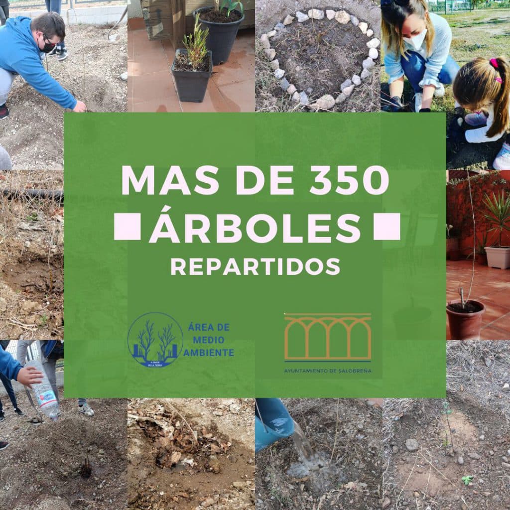 Culmina la campaña de reparto de árboles en Salobreña